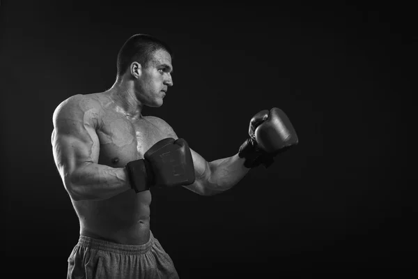 Young Boxer fighter — Stock Photo, Image