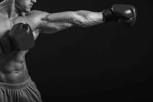 Young Boxer harcos — Stock Fotó