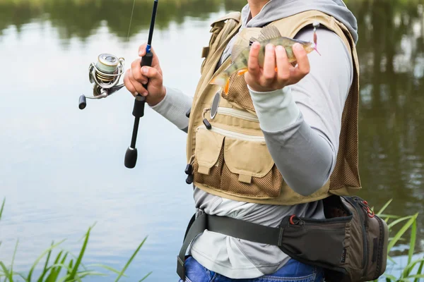 Fisherman holding a perch in hand — Stock Photo, Image