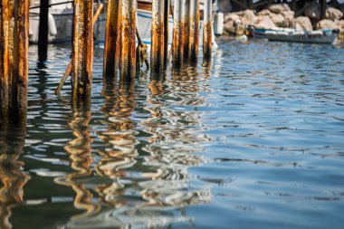 Deniz paslı Bridge'de