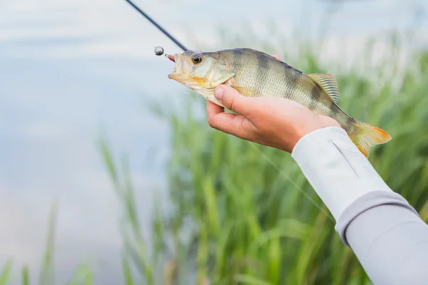 Pescador sosteniendo una percha en la mano —  Fotos de Stock