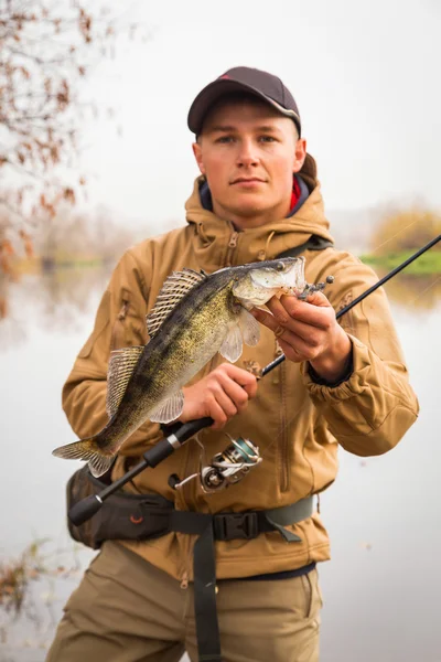 Balıkçı holding zander — Stok fotoğraf