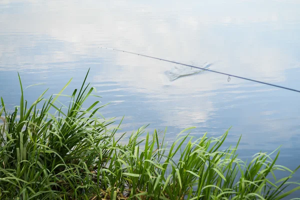 Fisherman with spinning on the river — Stock Photo, Image