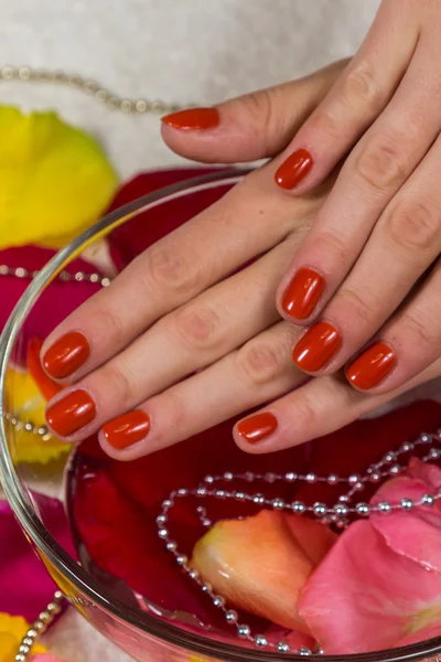 Manicured hands with red nail polish — Stock Photo, Image