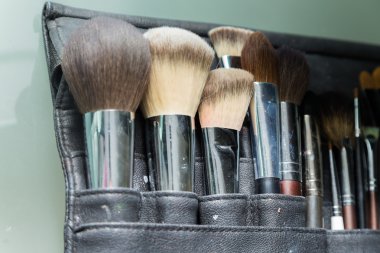 Professional make-up brushes