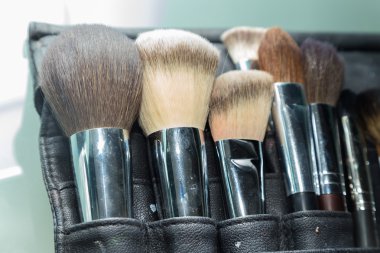 Professional make-up brushes