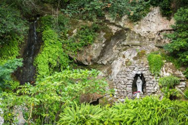 Bitkiler ile antik duvar