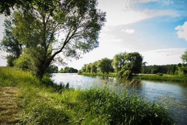 Nehir ve yaz, ağaçlar