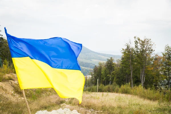 带有乌克兰国旗的山顶 — 图库照片