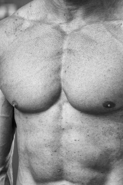 Cuerpo del hombre musculoso — Foto de Stock