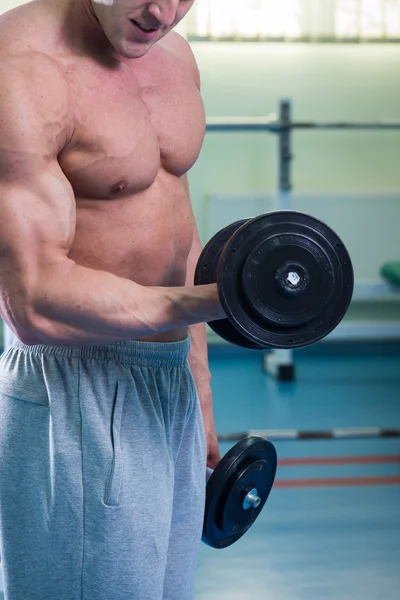 Handdumbbell vasthouden. — Stockfoto