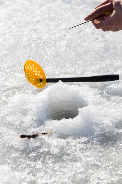 Fisherman on ice fishing from the well — Stock Photo, Image