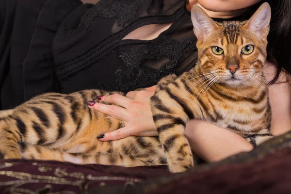 Beautiful woman and cat