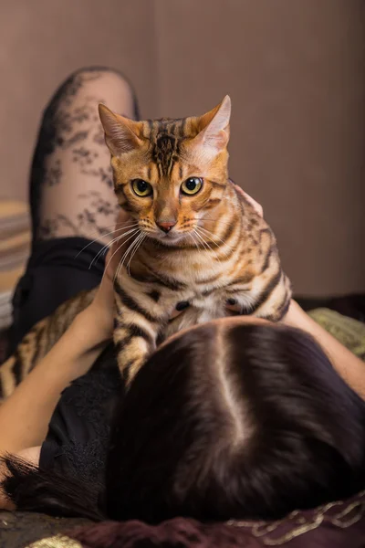 Gyönyörű nő és a macska — Stock Fotó