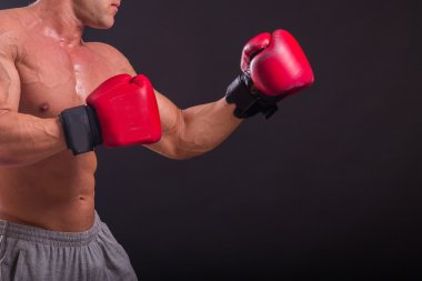 Boks eldivenleri erkekte
