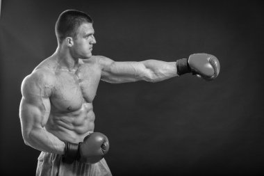 Boks eldivenleri erkekte