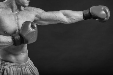 Boks eldivenleri erkekte