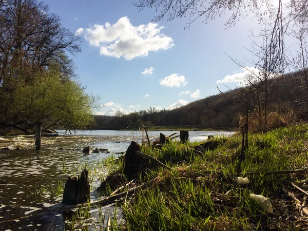 Hela våren floden — Stockfoto