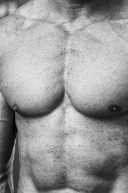 vücut geliştirmeci kasları gösterir