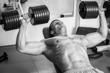 Vücut geliştirmeci dumbbells ile kuvvet eğitimi yapıyor