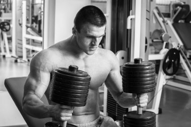 Vücut geliştirmeci dumbbells ile kuvvet eğitimi yapıyor