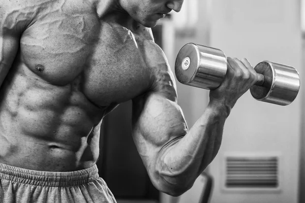Bodybuilder trains the muscles of the arms.