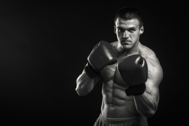 Yakışıklı güçlü boksör