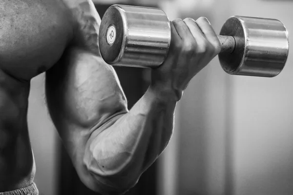 Bodybuilder trains the muscles of the arms. — Stock Photo, Image