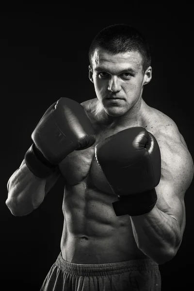 Pěkný silný boxer — Stock fotografie