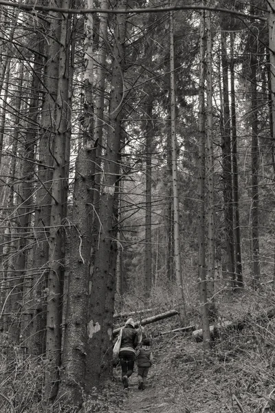 Anne ve oğlu ormanda bir yürüyüş — Stok fotoğraf