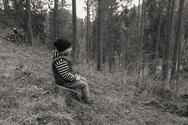 Μικρό αγόρι είναι ανάπαυση στο δάσος — Φωτογραφία Αρχείου