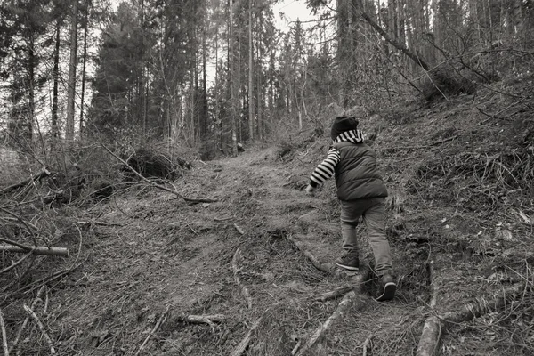 Menino está descansando na floresta — Fotografia de Stock