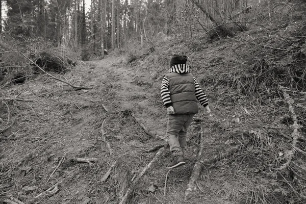 Kleiner Junge ruht im Wald — Stockfoto
