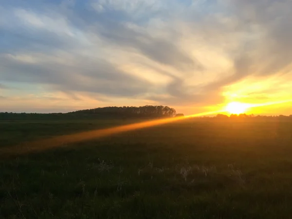 Beautiful evening landscape — Stock Photo, Image