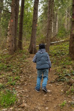 Küçük çocuk ormanda bir yürüyüş