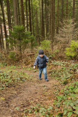 Küçük çocuk ormanda bir yürüyüş