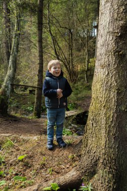 Küçük çocuk ormanda bir yürüyüş