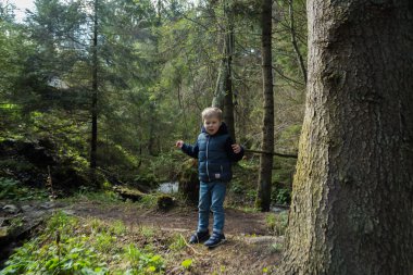 Küçük çocuk ormanda bir yürüyüş