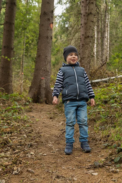 Маленький мальчик на прогулке в лесу — стоковое фото