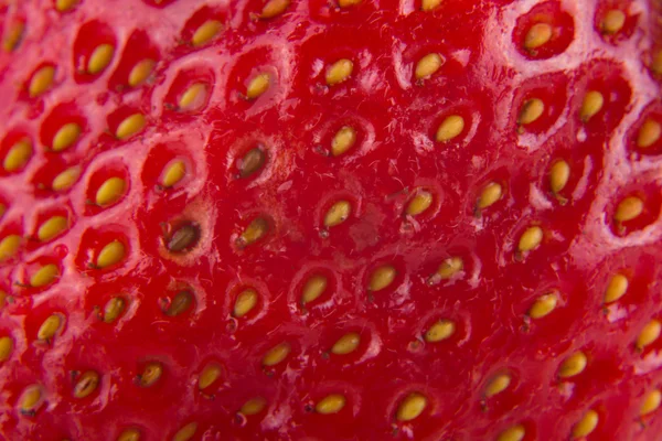 Reife Erdbeere Hintergrund — Stockfoto