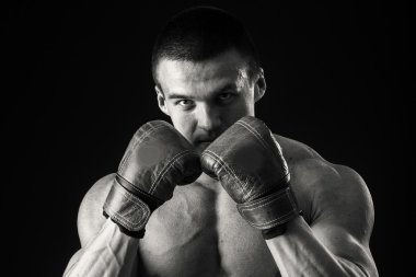 Koyu arka plan üzerinde Boxer