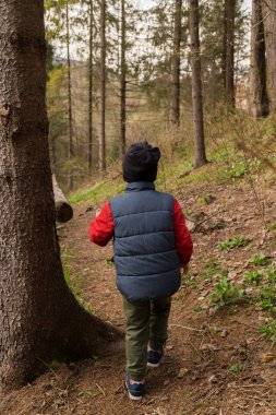 ormanda küçük bir çocuk