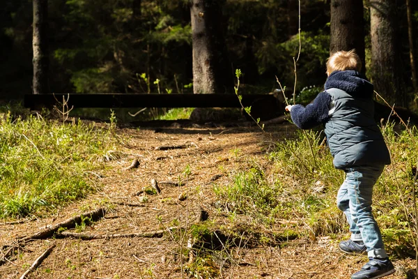 A little boy in the woods — Stock Photo, Image