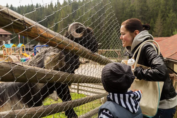 Madre e figlio allo zoo di montagna — Foto Stock