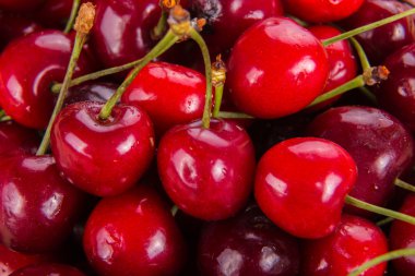 kırmızı taze kiraz
