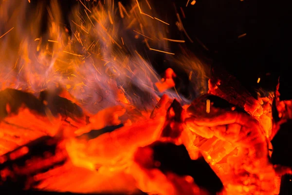 Photo Night bonfire — Stock Photo, Image