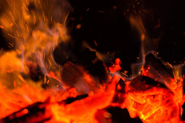 Photo Night bonfire — Stock Photo, Image