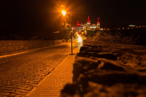 The beautiful medieval castle in the night light — Stock Photo, Image