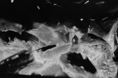 Fotoğraf gece şenlik ateşi