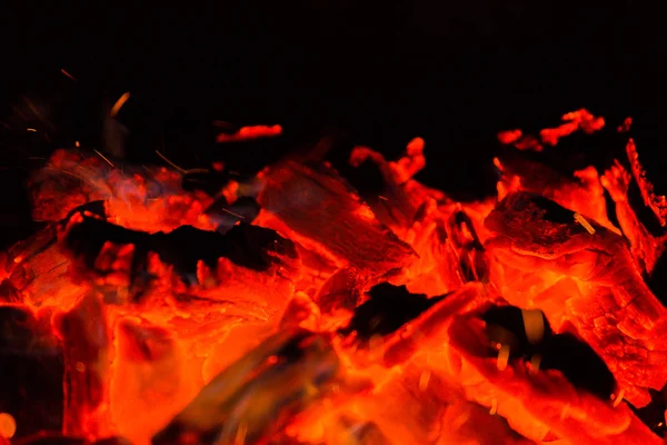 사진 밤 모닥불 — 스톡 사진
